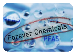 SeptOctNewletter_ForeverChemicals